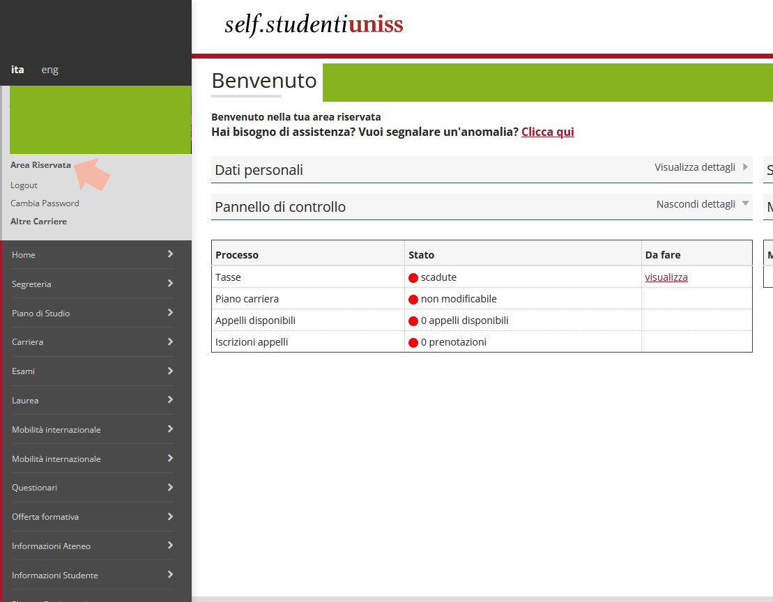 Prima pagina all'accesso nel proprio account SELF